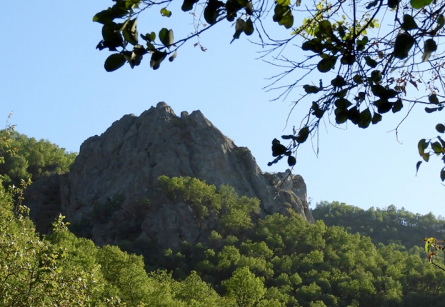 headerpoqui